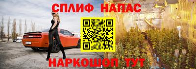 шишки Коммунар
