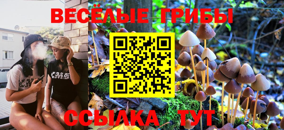 Псилоцибиновые грибы мицелий Юрга