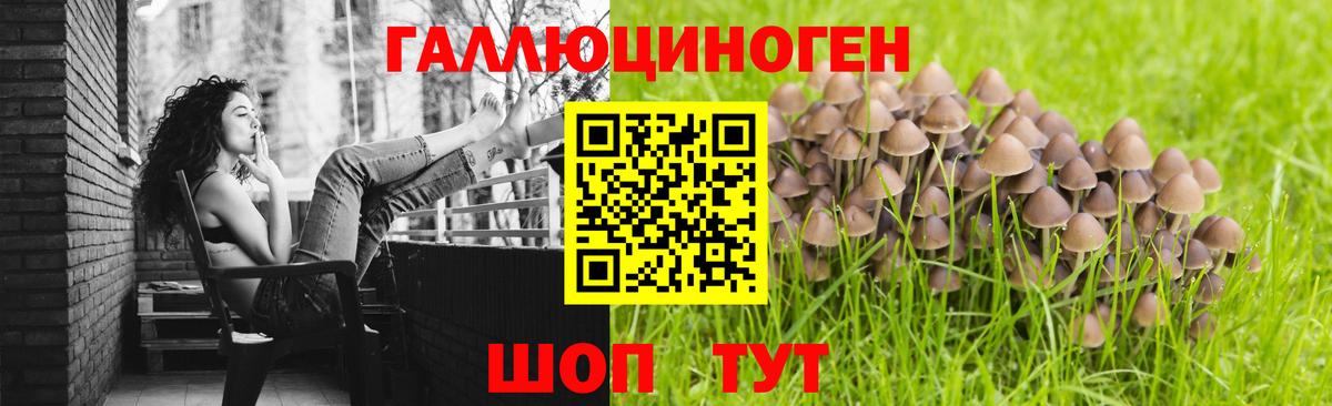 Псилоцибиновые грибы GOLDEN TEACHER  Вход с VPN  Юрга 